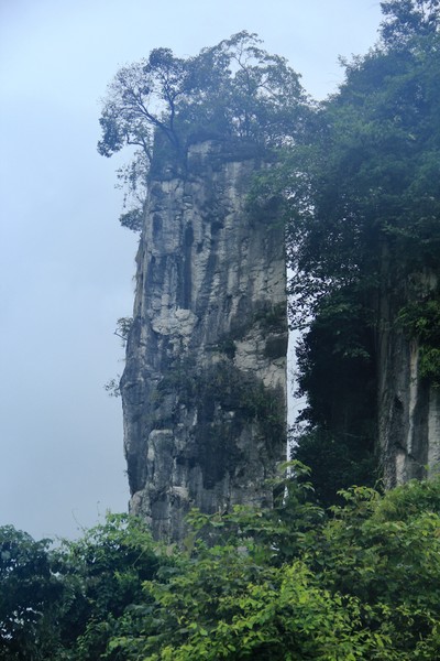image231.jpg